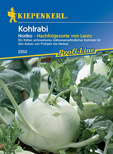 Kiepenkerl 2952 Kohlrabi Noriko, ein früher schossfester und kälteunempfindlicher Kohlrabi für den Anbau von Frühjahr bis Herbst