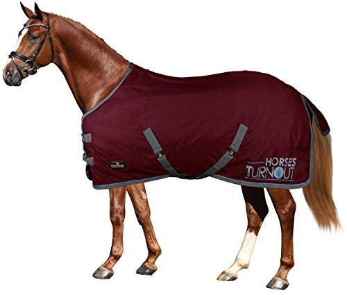 Horses, Coperta da Paddock per Cavallo Turnout 400 gr, Impermeabile, Resistente, Imbottita, con Cinghie ad Incrocio, BORDEAUX, 145 cm