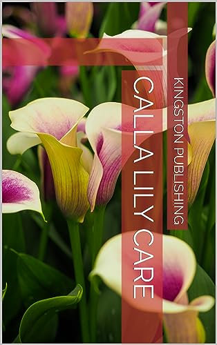 Calla Lily Care (Patio Gardening)