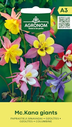 AGRONOM | Aquilegia - MC.KANA GIANTS | Semi di fiori | Fiori perenni, alti fino a 80 cm, con fiori bicolori di 5 cm di diametro e steli ramificati | Semi di piante | Semi da giardino |1 confezione