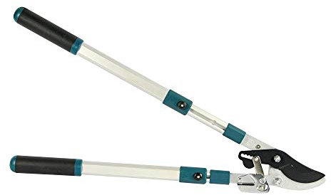 TrAdE shop Traesio Forbice CESOIA da POTA Taglia Rami A CRICCHETTO con Manici ALLUNGABILI