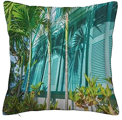 ERICAT Pillowcases 18X18 Throw Pillow Covers for Home Decor,Bear Cartoon Koala Baby Boomerang Cute Aboriginal,Pillows for Living Room sofa Cushion Case Gifts for Home Decor