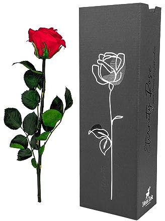 Moos Zeit KUNST DER NATUR Rote Infinity Rose mit Stiel, echte konservierte Rose in Premium Geschenkbox - ewige Blume mit Rosenduft Haltbar bis zu 3 Jahre