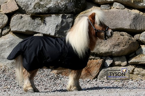 Tysons Breeches 600 D Klett Regendecke Decke Minipony Mini Shetty Weidedecke Falabella Schwarz 65 70 75 80 cm Hier 65 cm