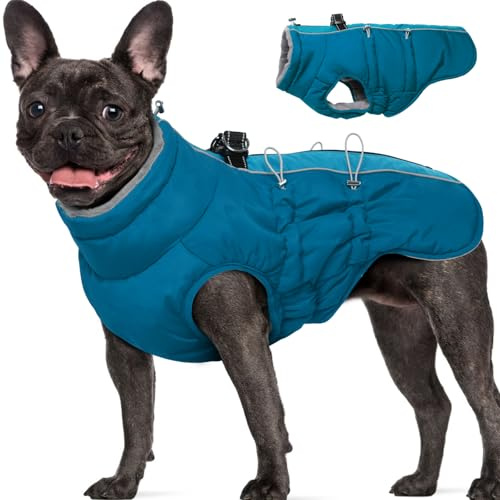 Katzinst Hundejacke Hunde Wintermantel für Mittlere Hunde, Wasserbeständig Hundemantel mit Geschirr, Warme Hundejacke mit Bauchschutz, Hundemantel Fleece, Dalmatiner, Blau, L