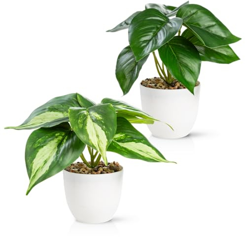 PASCH® 2er Set Kunstpflanzen wie echt (18cm) in bruchfesten Melamintöpfen | Kunstpflanzen im Topf | Künstliche Pflanzen im Topf | Kunstblumen Fake Plant