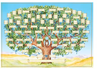 Tianbi Stammbaum-Diagramm, Wandposter Family Tree inch, 6 Generationen, befüllbare Ahnentabelle, DIY-Leinwand, Ahnendiagramm, mehrfarbig, 60 x 40 cm