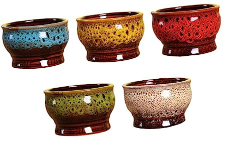 TOYANDONA 5piezas Macetas Cerámicas Decorativas para Cactus Suculentas y Bonsái para Casa y Oficina