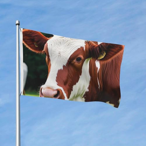 Flagge, 90 x 150 cm, Dekoration, Outdoor-Flagge, robuste Gartenflaggen, rote und weiße Rindslederflaggen, 200D Polyester, Hofbanner mit 2 Ösen, für drinnen und draußen, Banner für Urlaub, alle