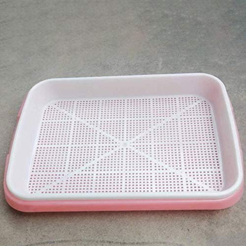 Seed Sprouter Tray Soil-Free, Food Grade PP Healthy Wheatgrass Grower, Two-Tiered Plant Soilless Seed Tray for Beans, Peas, Wheatgrass and more Blue/Pink/Green/Purple