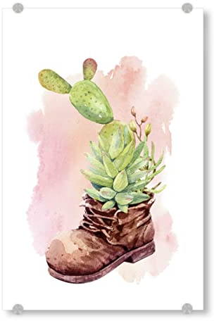 artboxONE Acrylglasbild 30x20 cm Natur Kaktus und Sukkulente Bild hinter Acrylglas - Bild Kaktus blühen Kaktus