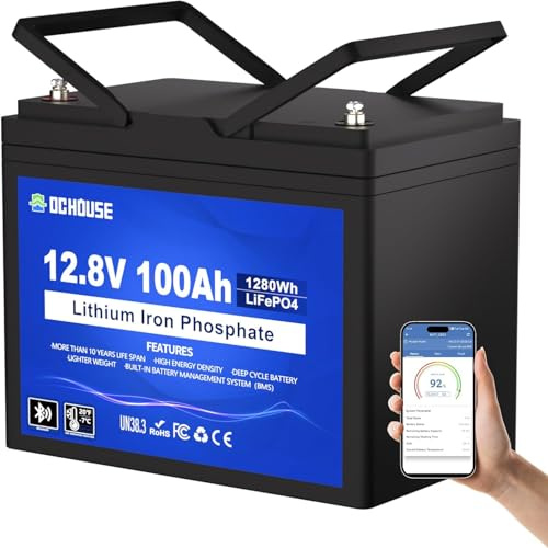 DCHOUSE Batteria Litio 12V 100AH Bluetooth con Protezione 100A BMS e a Bassa Temperatura, Batteria Lifepo4 per motori elettrici, Caravan, Campeggio, Sistemi solare