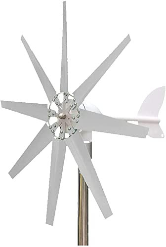 Generador de turbinas eólicas 600 Apto para el generador de Viento de la Planta de energía de la luz de la Calle Home Park con Controlador de turbinas de energía del Molino de Viento, 48v (1