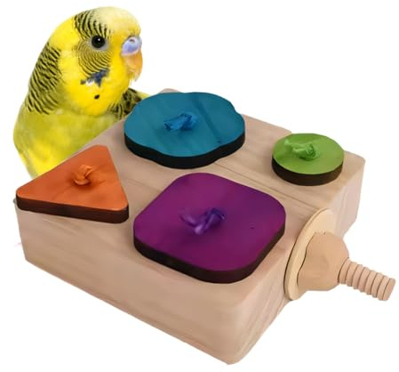Jouet de Recherche de Nourriture pour Oiseaux, Mangeoire à Alimentation en Bois Lente, Support de Nourriture pour Perroquets, Boîte de Recherche pour Perruches Ondulées, Conures et Inséparables