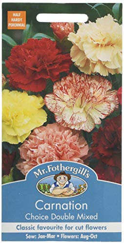 Mr Fothergill's 23854 Flower Seeds, Carnation Choice Double Mixed