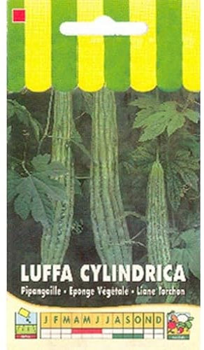 Sachet de graines de Luffa cylindrica (éponge végétale) - 1 g - légume fruit - LES GRAINES BOCQUET