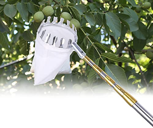 Yesbon ApfelpflüCker mit Teleskopstiel 2.1/2.5/3/ 4/5/ 6/7 M, ApfelpflüCker, ObstpflüCkausrüStung Beerenpflücker mit Obst Aufbewahrungstasche für Apfel Orange Zitrone,7m/23ft