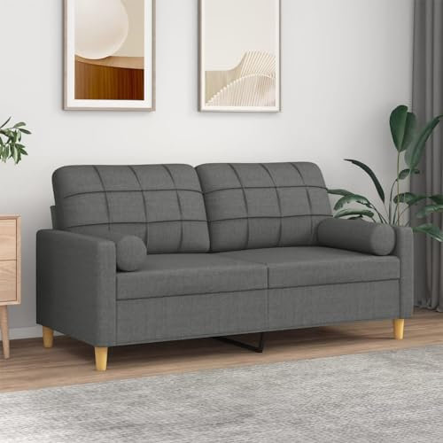 Camerina 2-Sitzer-Sofa mit Zierkissen Dunkelgrau 140 cm Stoff Schlafcouch Klein