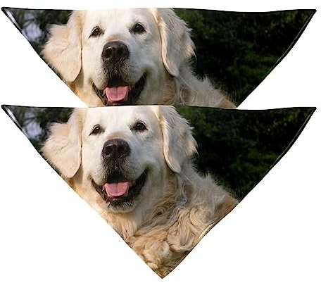 Passendes Set mit Hundehalstüchern, Hundelätzchen, Schal, Dreieckstuch für Hunde, Katzen, Haustierbesitzer, Mutter und Vater, 2er-Pack,Tierischer Golden Retriever