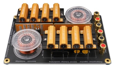 Wzxksoac High-Crossover 2000Hz Hi-Fi Audio Hochdruck Dual-Tweeter 800W 2-Wege Lautsprecher Frequenzweiche Filter Crossover-Platine