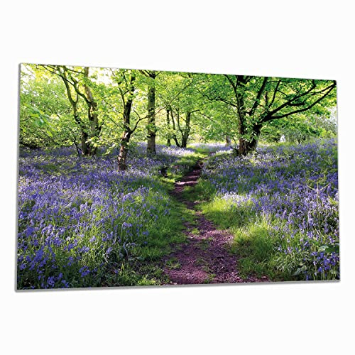 Wallario Herdabdeckplatte/Spritzschutz aus Glas, 1-teilig, 80x52cm, für Ceran- und Induktionsherde, Blaues Hasenglöckchen im Wald