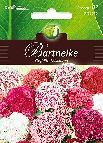 Dianthus, Bartnelken,Gefülltblüh.Mg.