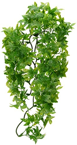 Zoo Med Congo Ivy Plante Plastique pour Terrarium Taille M Multicolore M (Lot de 1)