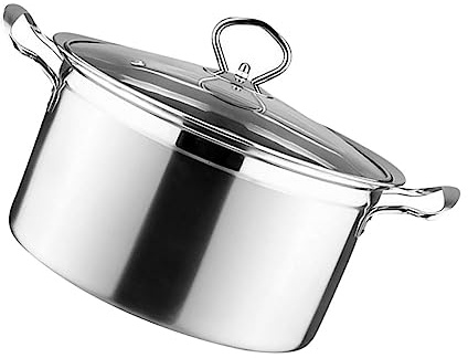 TOGEVAL 1pezzi Pentola per Zuppa al Vapore in Acciaio Pentola per Induzione in Vetro Temperato Confezionato Design Anti-Perdita