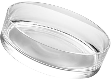 VICASKY Vase Hydroponique Transparent en Verre Grand Pot à Fleurs Cylindrique 20Cm Récipient pour Centre de Table Décoration Maison Bureau Jardin Balcon