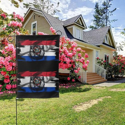 Bandera de león paraguayo de doble cara, 28 x 40 pulgadas, decoración para exteriores
