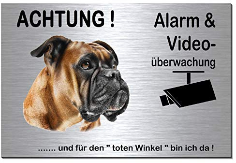 Boxer-Alarm-Video-Überwachung-Hund-Schild-Hundeschild-Aluminium Edelstahloptik-Hunde-Tierschild-Warnschild-Hinweisschild 133-3 (133-3 silber 300 x 200 x 3 mm mit Löcher)