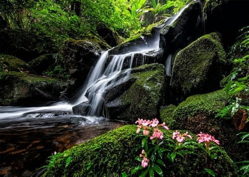 CORFOTO 2.1x1.5m Waterfall Photography Backdrop Jungle Mountain Forest River Stream Lake Landscape Background Waterfalls Backdrop Decor Photo Studio Shoot Props
