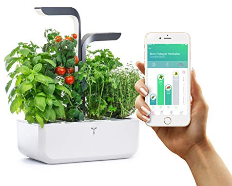 VERITABLE - CONNECT Garden - Indoor-Anbau mit automatischem LED-Beleuchtungssystem - Über die APP können Sie die Anlagenentwicklung verfolgen - Kit mit 4 Samen inklusive (Infinity Grey)