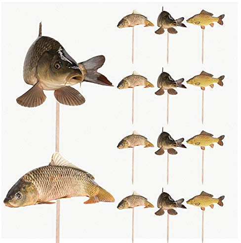 AK Giftshop Fishing Carp Mix Birthday Party Food Cupcakes Picks Decorations Toppers (Pack of 14)