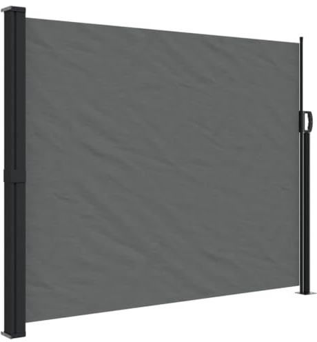 vidaXL Toldo Lateral retráctil Gris Antracita 160x500 cm