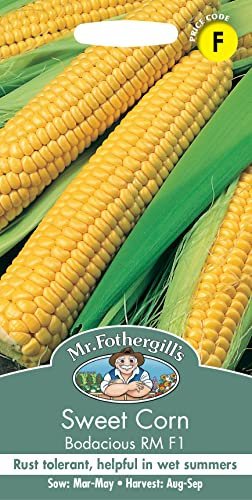 Mr Fothergill's 17666 Vegetable Seeds, Sweet Corn Bodacious RM F1