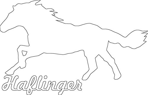 2X Auto Aufkleber Haflinger Pferd 2X Car Sticker Konturgeschnitten (ca. 11x7 cm) (Weiss)