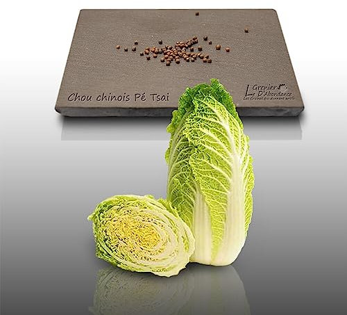 100 graines à semer - Le Grenier d'Abondance - CHOU Chinois Pé Tsaî Amélioré - Brassica rapa