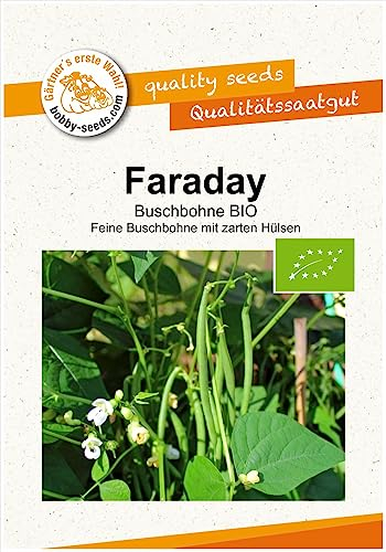 Faraday Buschbohne BIO-Bohnensamen von Bobby-Seeds, Portion