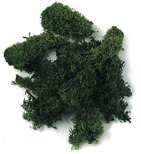 Rayher 8503213 Islandmoos, dunkelgrün, Btl. 100 g, echtes Natur-Moos (Island), konserviert, gereinigt, zum Basteln, Deko-Moos zu Ostern, Weihnachten, für den Modellbau