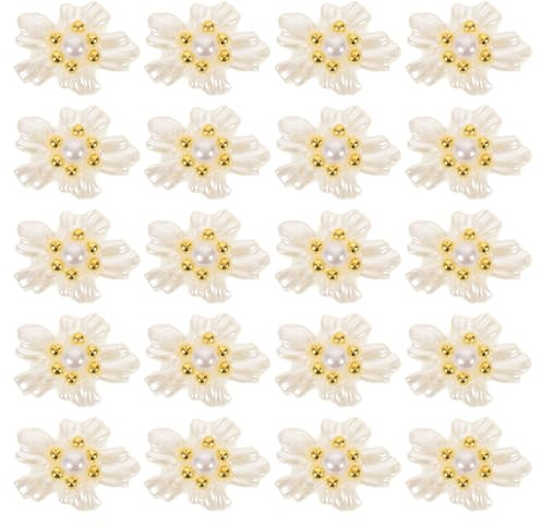 DECORNIJIA 20piezas Adornos para Uñas Dijes de Acrílico con Perlas y Gemas para Arte Accesorios para Diseños de Uñas para Fiestas y Eventos