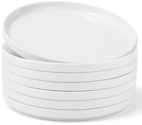EOGRFW 6Er-Set Weiße Speiseteller, Flache Porzellan Teller, 25 Cm, Weiß | 25 X 2.5 Cm, Mikrowellen- Und Spülmaschinenfest, Ideal for Steak, Salat, Pasta, Weißes Geschirr