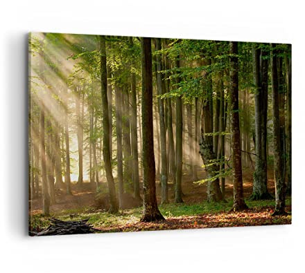 ARTTOR Impression sur Toile Moderne 100x70 cm Botanique Paysages - 3628 | Forêt Arbre Nature Moderne Tableau Décoratif Grand Décoration Murale Art Mural Toile Imprimée Salon Chambre Cuisine ARTTOR