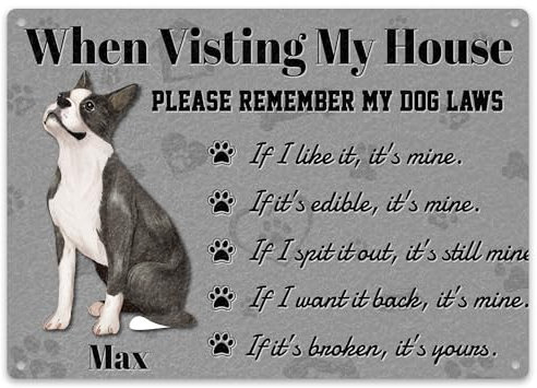 Purple Print House Personalised Funny Boston Terrier Dog Laws Metal Bar Sign Welcome Plaque Kitchen Indoor, Large, White