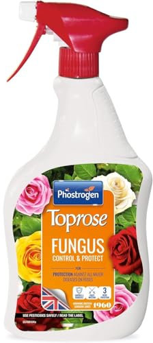 Fungus Control & Protect – 1L, Systemic Disease Control for Roses & Ornamental Plants, Treats & Prevents Blackspot, Rust & Mildew, Long-Lasting Protection – Ready to Use