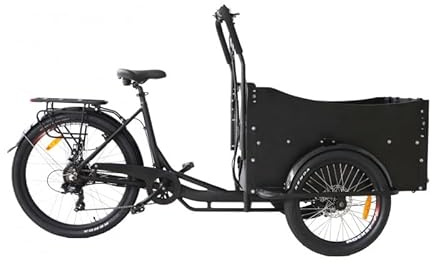 E-ROCK E-Donkey E-Lastenrad 25 km/h | Testsieger Familien-Transporter | 4-Kind Kapazität | 250W Motor & 13Ah Akku | Holzbox & Scheibenbremsen