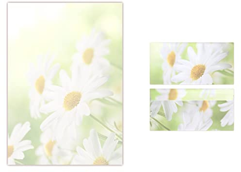 100 Blatt Briefpapier DIN A4 + 100 Stück Umschläge 5031 Blumen Margeriten Motivpapier/Premium Briefumschläge DIN lang (110 X 220mm) mit Motiv bedruckt, Briefhüllen Kuvert, ohne Fenster, haftklebend