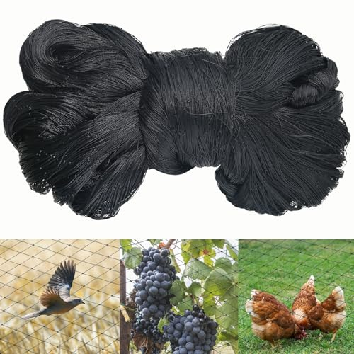 LINSOCLE Rete Anti Uccelli Nero 10m X 10m, Rete per Voliere e Giardino, Protezione per Vigneto e Orto