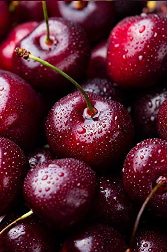 pianta di ciliegia albero di ciliegio pianta di ciliegie albero di ciliegie età 2 anni già innestate albero di frutto vero venduto da eGarden.store (Durone Nero di Vignola III)