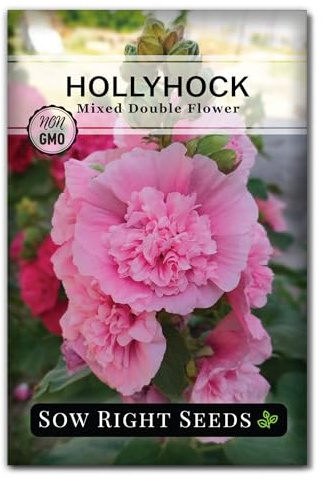 Sow Right Seeds - Mixed Double Flower Hollyhock Seeds for Planting - Non-GMO Heirloom Variety - Biennial Giant Double Flower - Ideal Garden Flowers - Ruffled Blooms for Outdoor Cottage Garden (1)